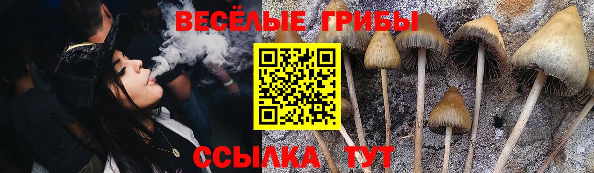 Галлюциногенные грибы GOLDEN TEACHER Каменка