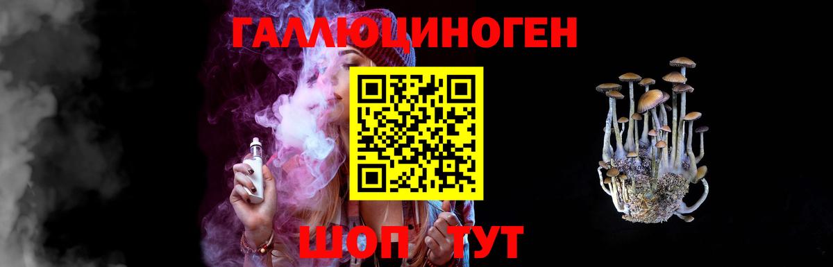 Каменка  Псилоцибиновые грибы Cubensis  Вход с VPN  Псилоцибиновые грибы ЛСД 