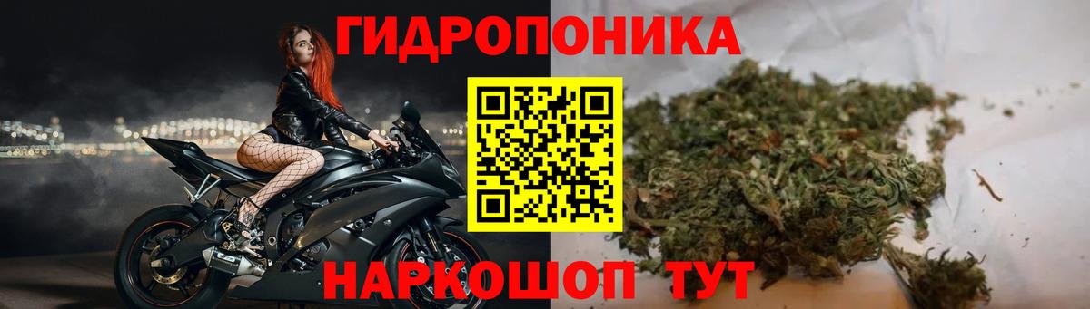 Канабис марихуана Каменка